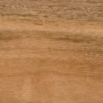 Australian Spotted Gum