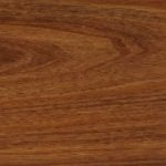 Tasmanian Blackwood